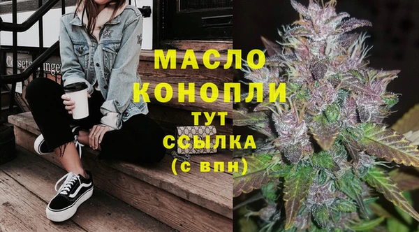 ECSTASY Алзамай