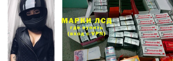 стафф Арсеньев