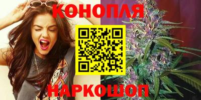 крисы Сланцы