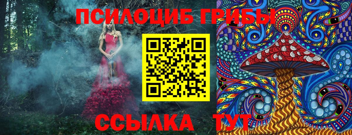 Псилоцибиновые грибы Psilocybe Тайшет