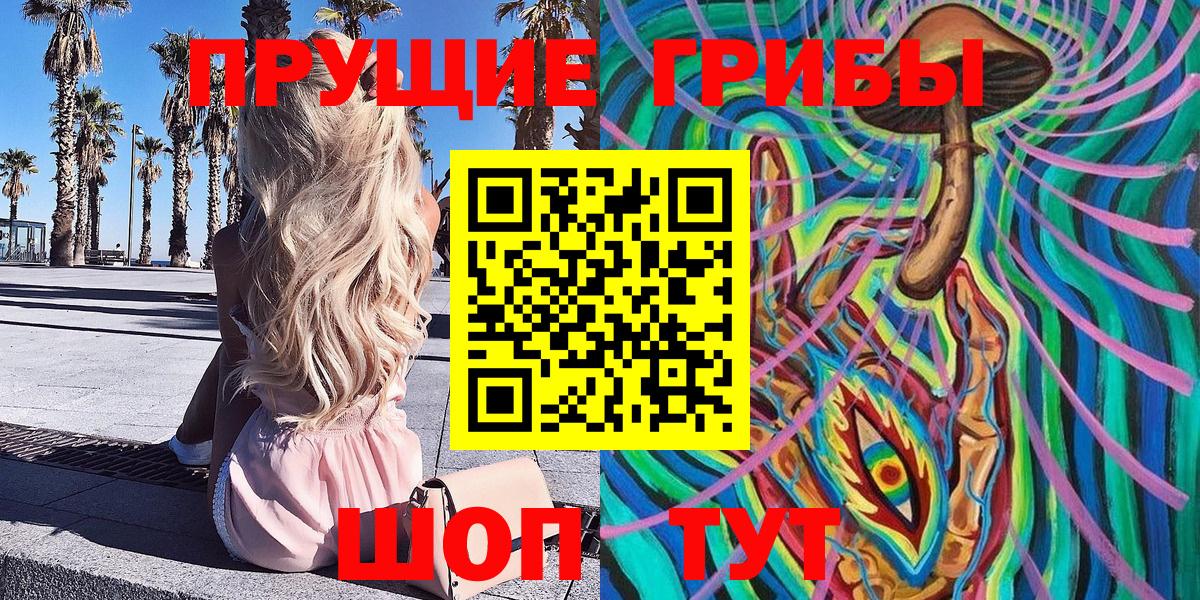 Тайшет  Галлюциногенные грибы GOLDEN TEACHER  Вход с VPN 